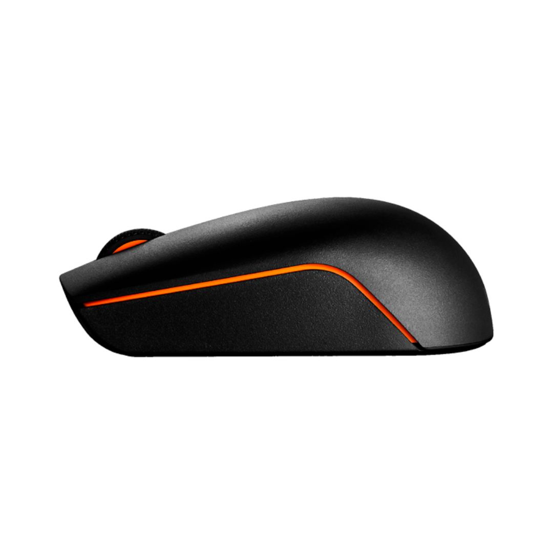 MOUSE WR LENOVO 300