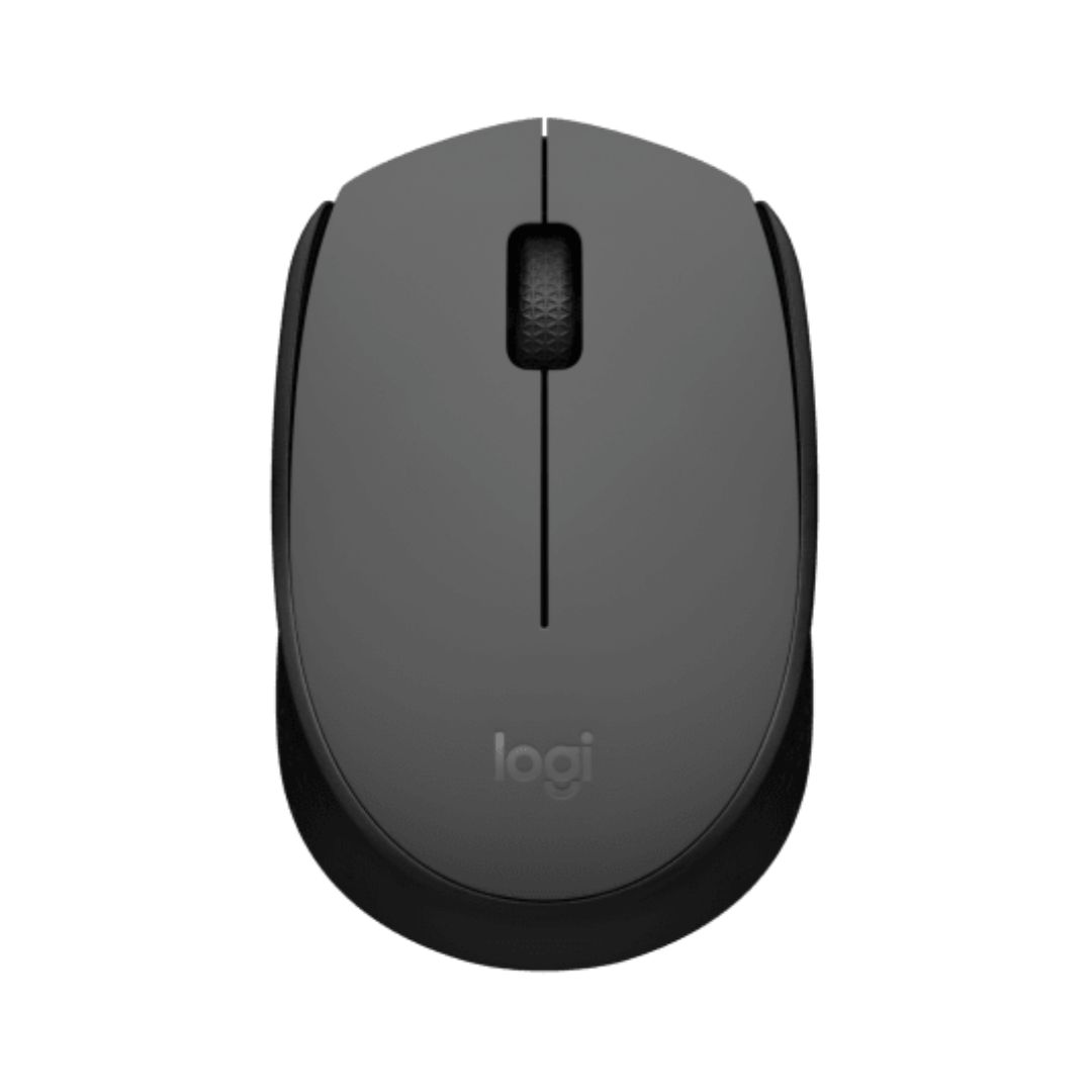 MOUSE WR LOGITECH M171