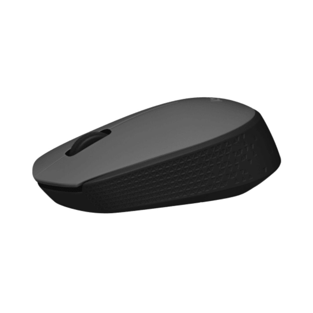 MOUSE WR LOGITECH M171