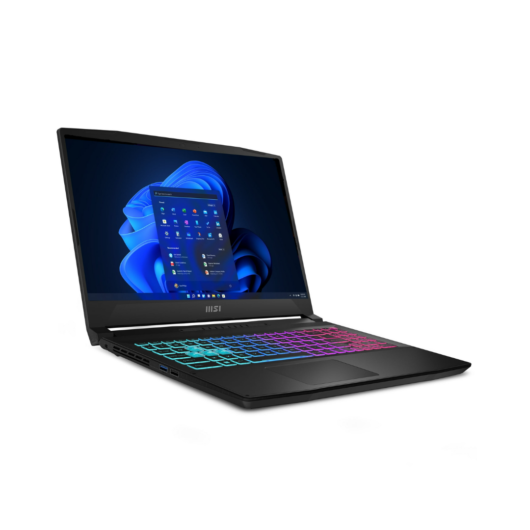 MSI KATANA 15 B13VEK-1675US 15.6" FHD IPS 144HZ
